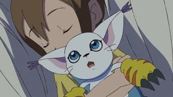 Hikari e Tailmon