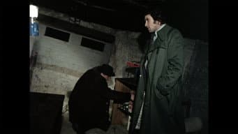 Episódio 5
