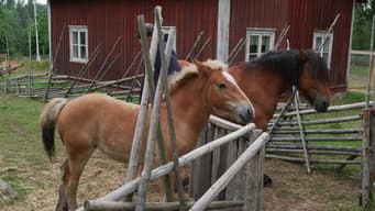 Episódio 38