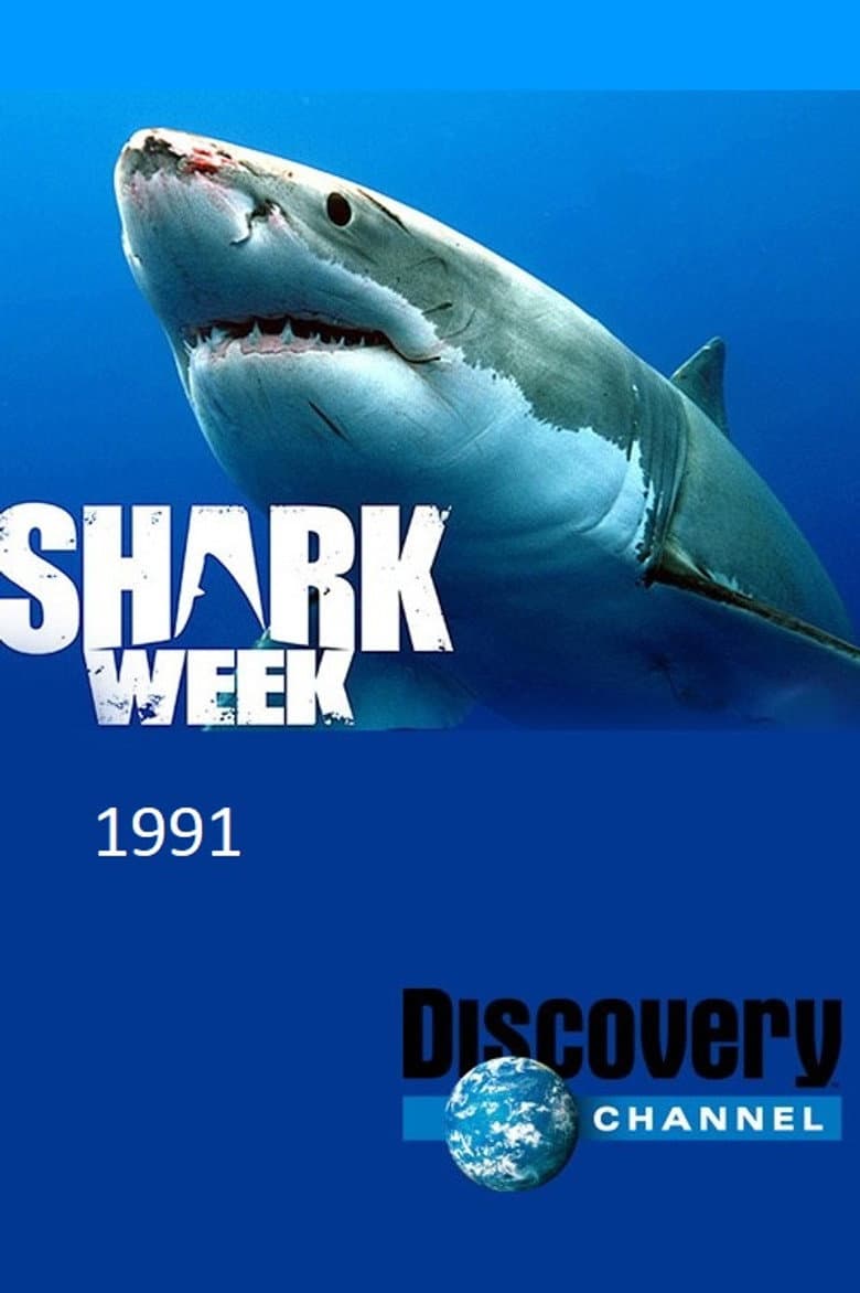 Temporada 4