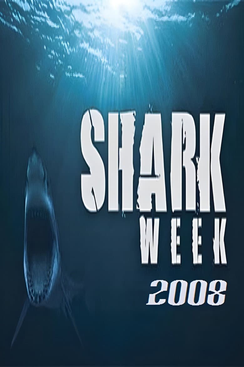 Temporada 21