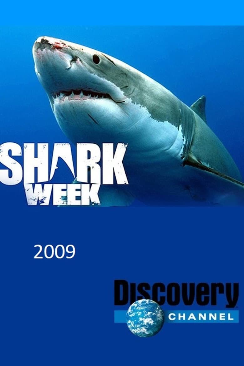 Temporada 22