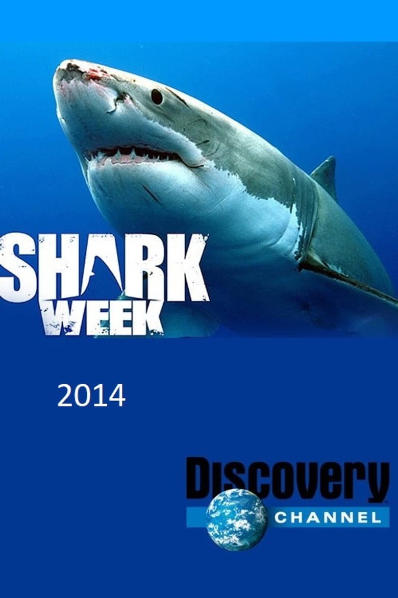 Temporada 27