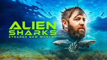 Episódio 7