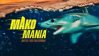 Episódio 8