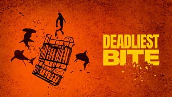 Episódio 8