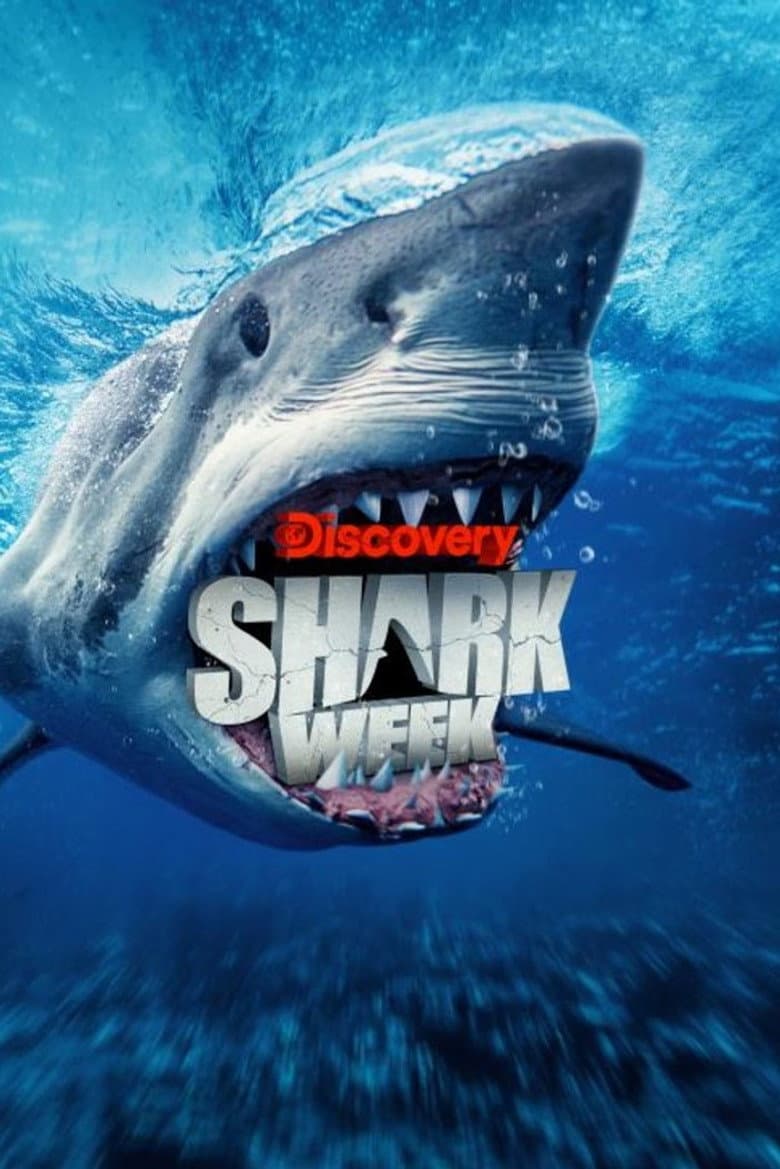 Temporada 38