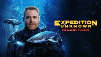 Episódio 10