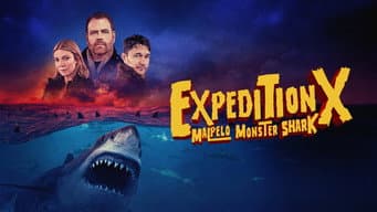 Episódio 11