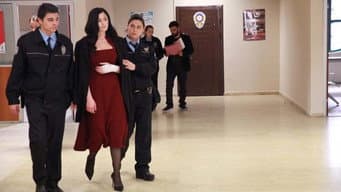 Episódio 14