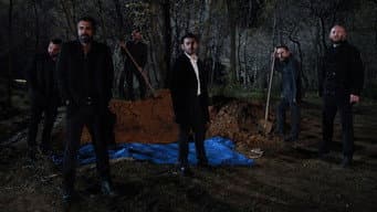 Episódio 31