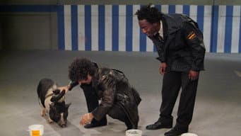 Episódio 5