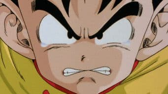 Uma Batalha de Vida ou Morte! O Ataque Desesperado de Goku e Piccolo!