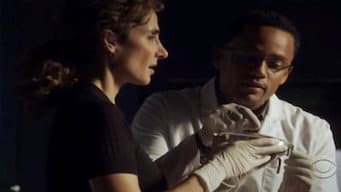 Episódio 9