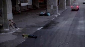 Episódio 14