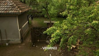 Episódio 10