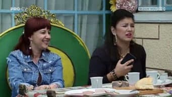Episódio 14