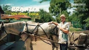 Episódio 29