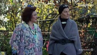 Episódio 3