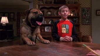 O Cachorro de Dewey