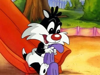 O conforto do Frajola