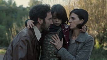 Episódio 208