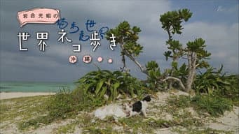 Episódio 16