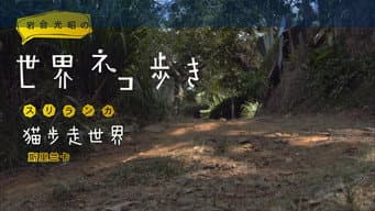 Episódio 44