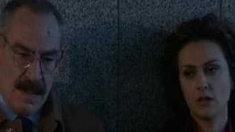 Episódio 7