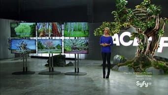 Episódio 4