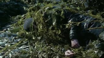 Episódio 13