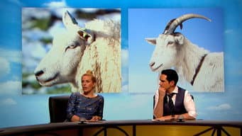 Episódio 17