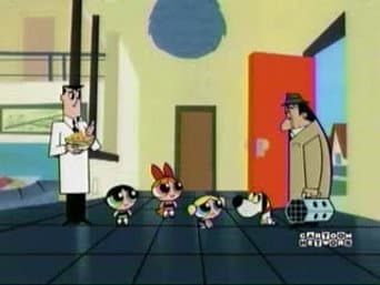 Calem o Cãozinho