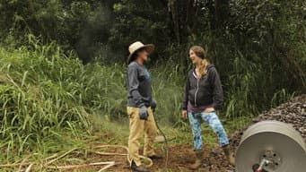 Episódio 6