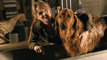 O Supercão