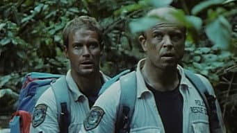 Episódio 9