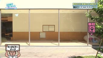 Episódio 33
