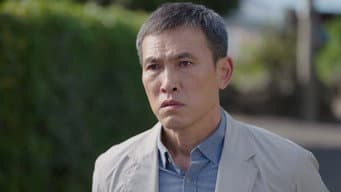 A chuva das samambaias de Jeju