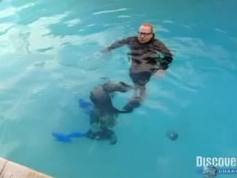 Episódio 13