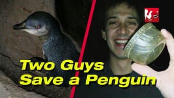 Episódio 18
