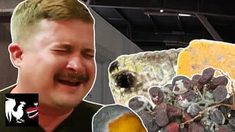 Episódio 65