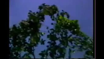 Episódio 5