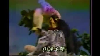 Episódio 14