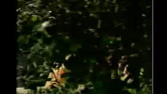 Episódio 20