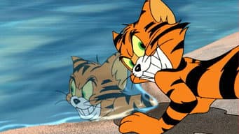 O Tigre Está Solto