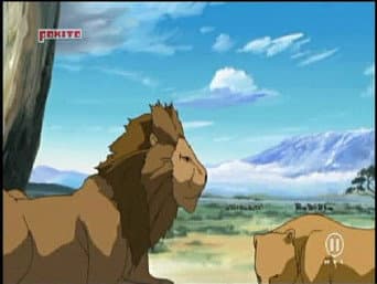 Rino ou Dino?