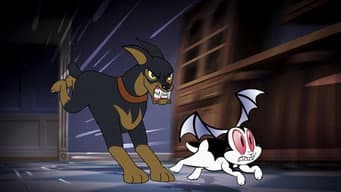 Episódio 15