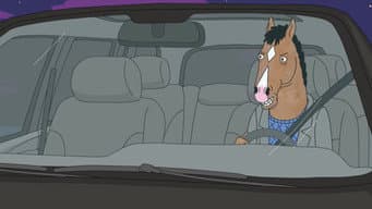 Cavalo com abalo