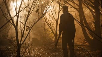 Episódio 8