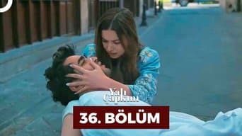 Episódio 36